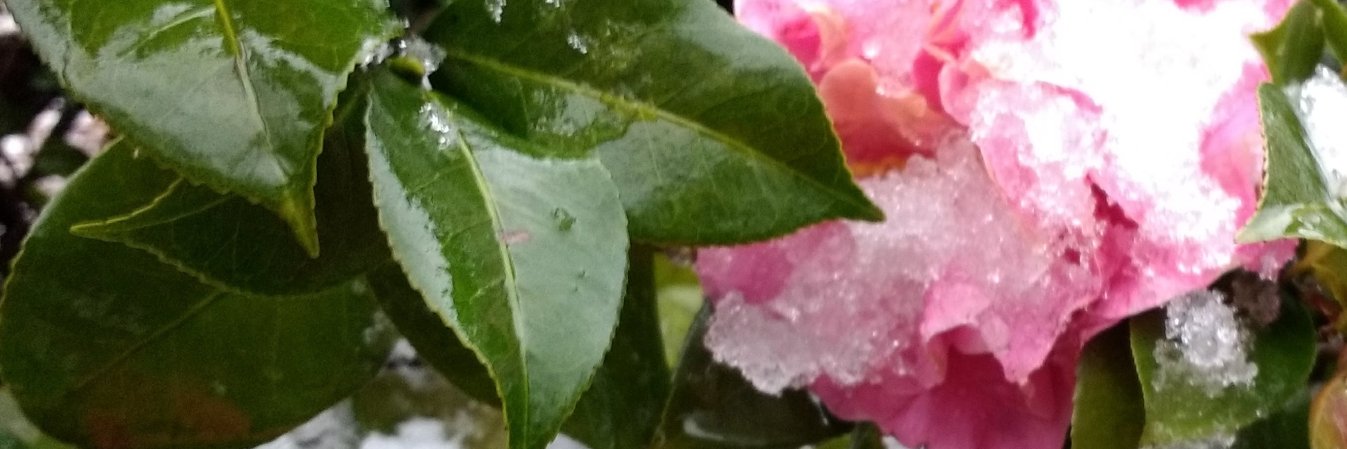 kindredfound's profile banner image