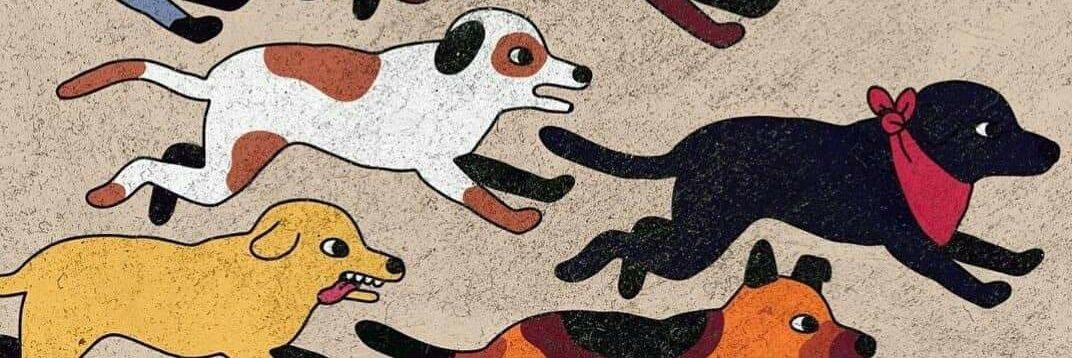 proletariomedio's profile banner image