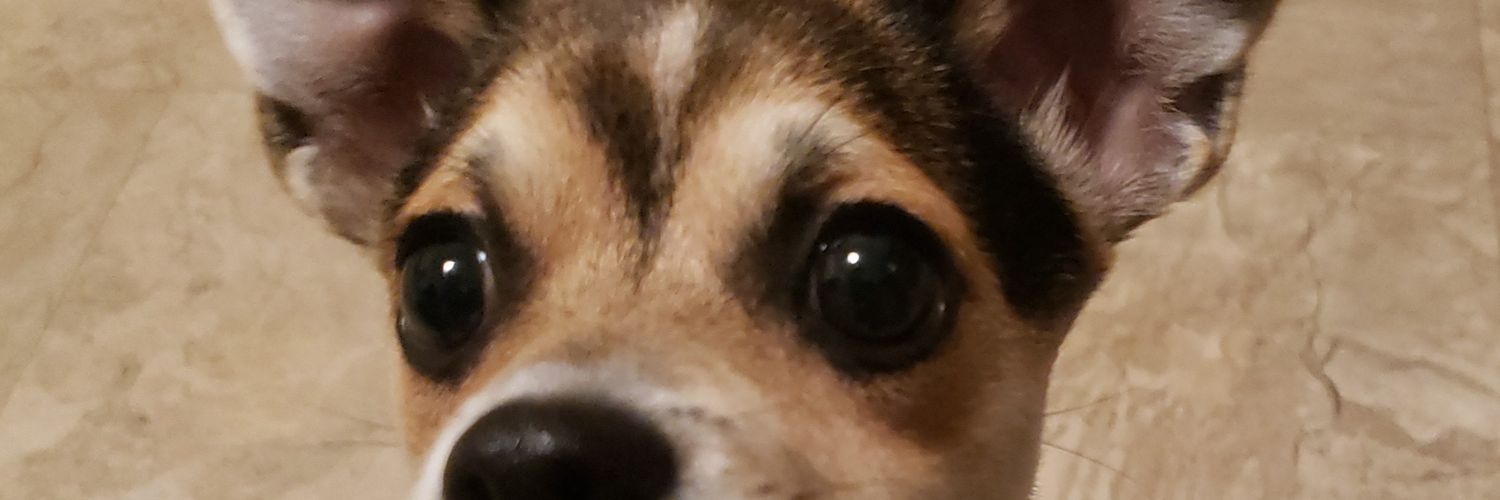 cj_tracy's profile banner image
