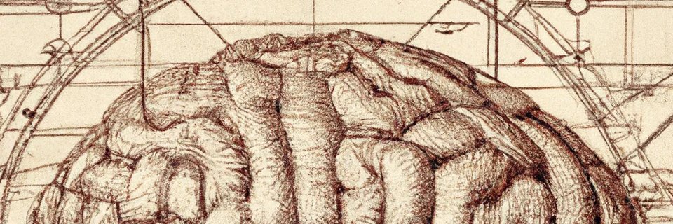 Professor Faux Pas banner