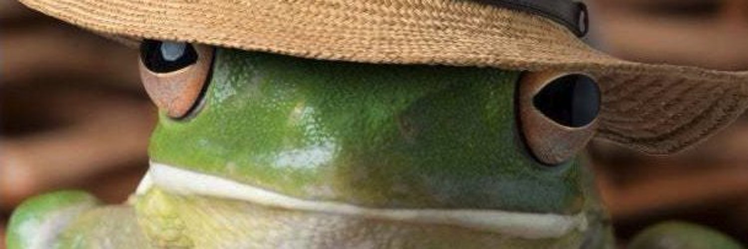 CaamaIsaurio's profile banner image