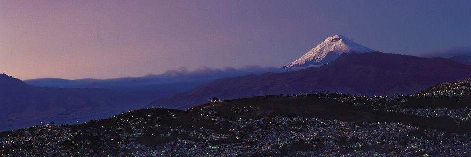 cuatita_eli's profile banner image