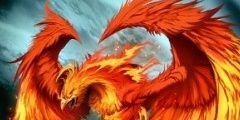 avefenix467's profile banner image