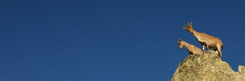 torrejonero's profile banner image