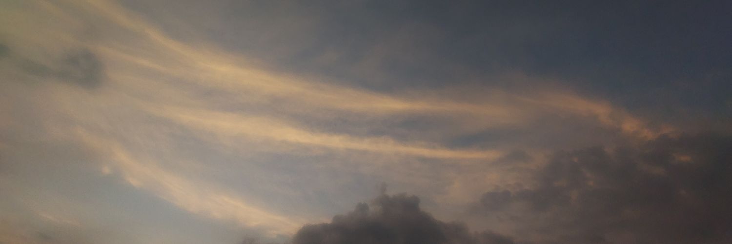 beatreesbee's profile banner image