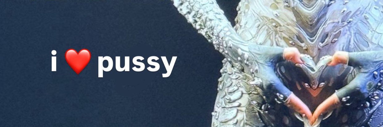 yurivilainnator's banner