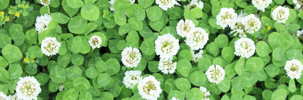 ★A★🐬🐧 banner