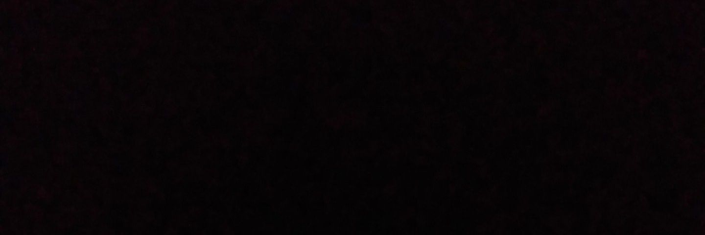 ahreecaballo banner