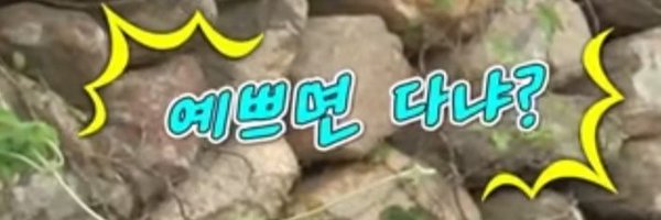 bompepp Profile Banner