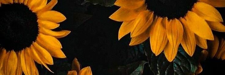 ingvonsch's profile banner image