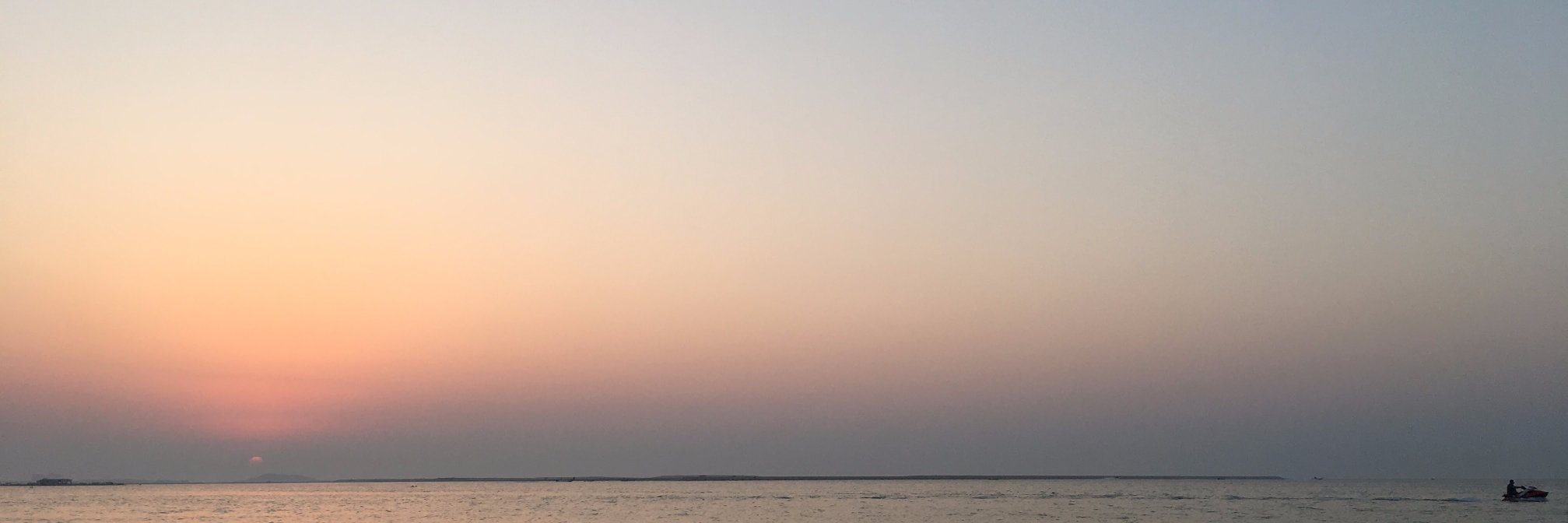 alaali's profile banner image