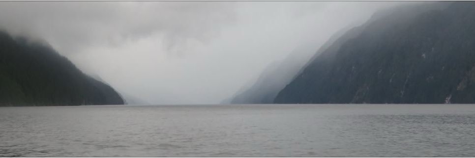 •• shantel •• banner