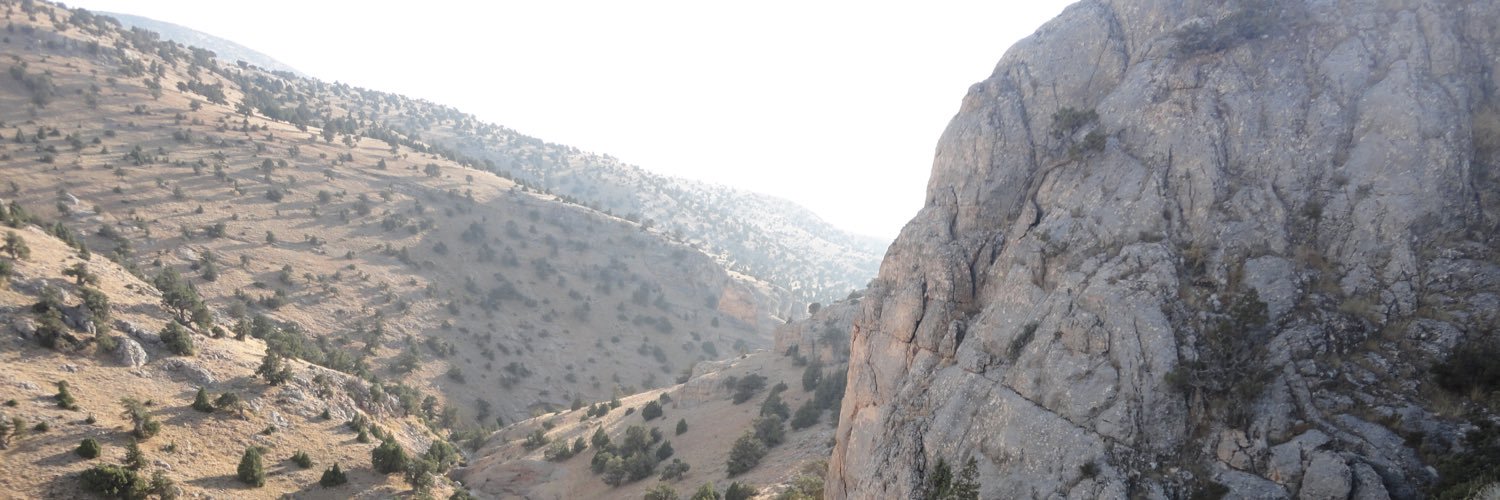 vondergolts's profile banner image