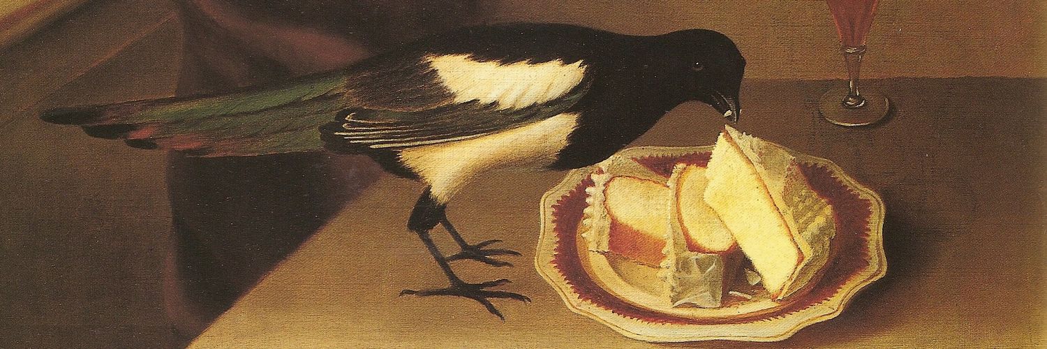 Rocío Rincón banner