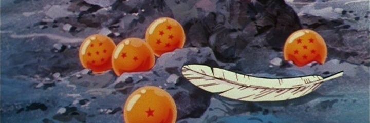 momo banner