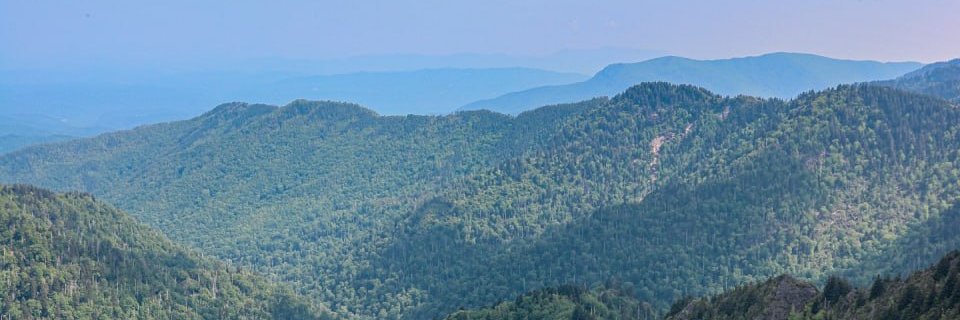 annsol_'s profile banner image