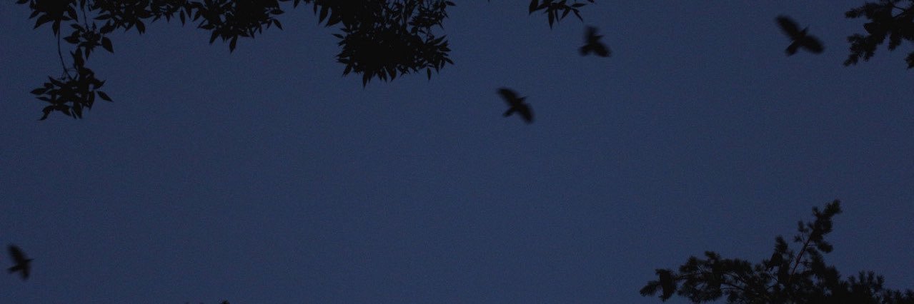 yz7315's profile banner image