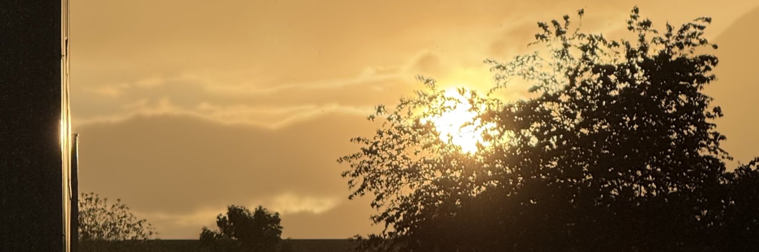 nope6121's profile banner image