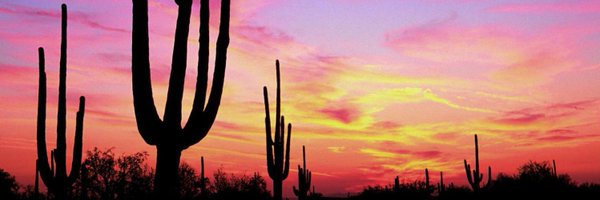 jeremeamia Profile Banner