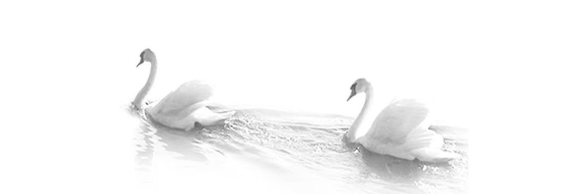 veloursdoll's profile banner image