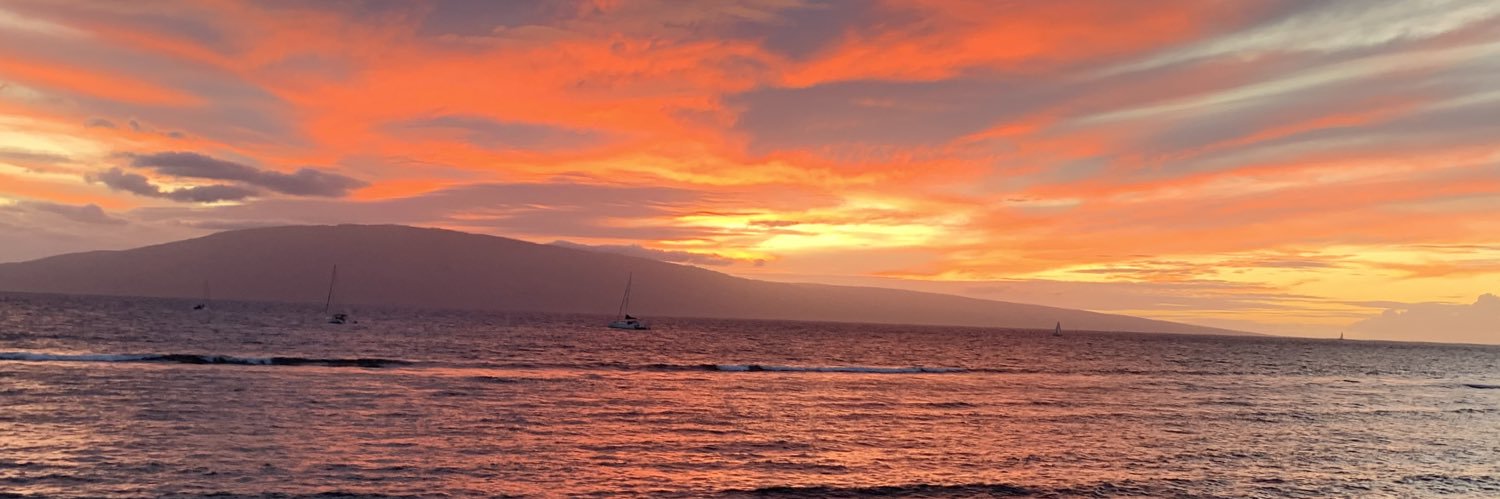 Unstable Genius banner