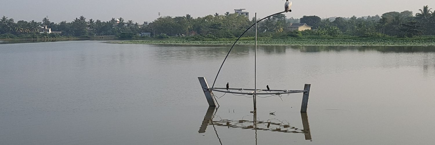 Mr San 🇭🇰🇳🇿 香港加油！ banner