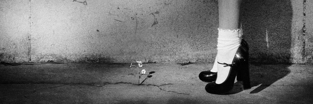 𝕵𝖔𝖏𝖔🥂🧙⚡ banner