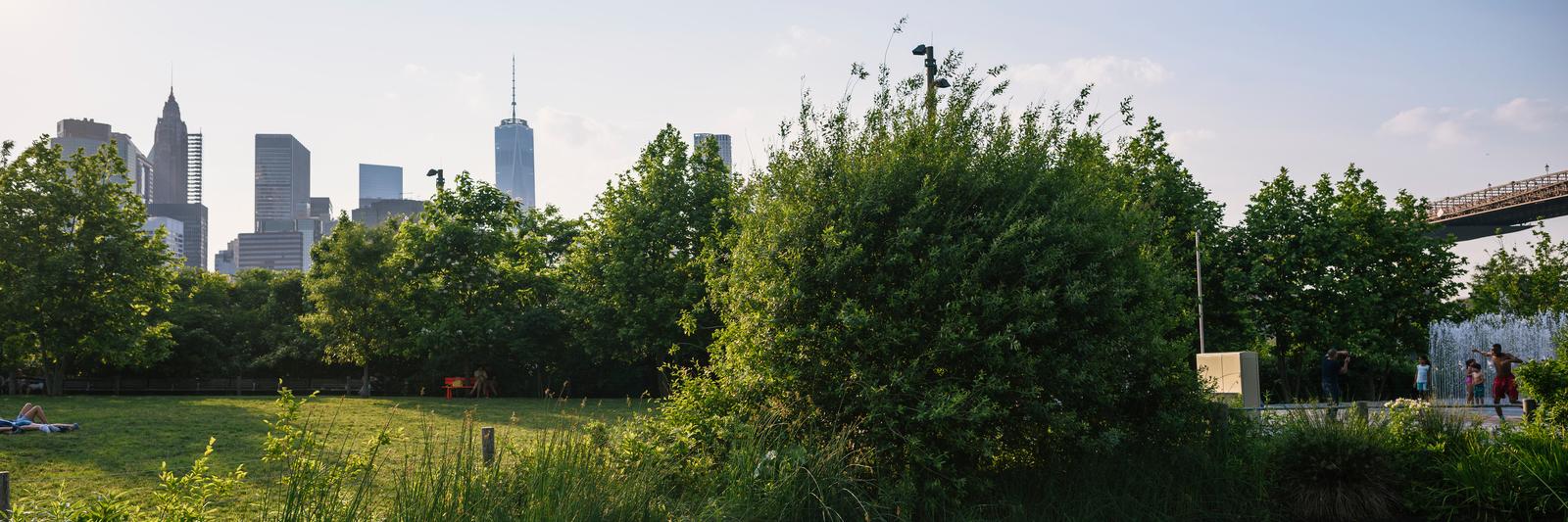 Bill Ulfelder banner