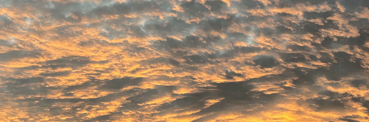_merz_99's profile banner image