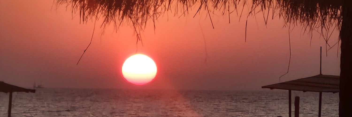 mandyphin28's profile banner image