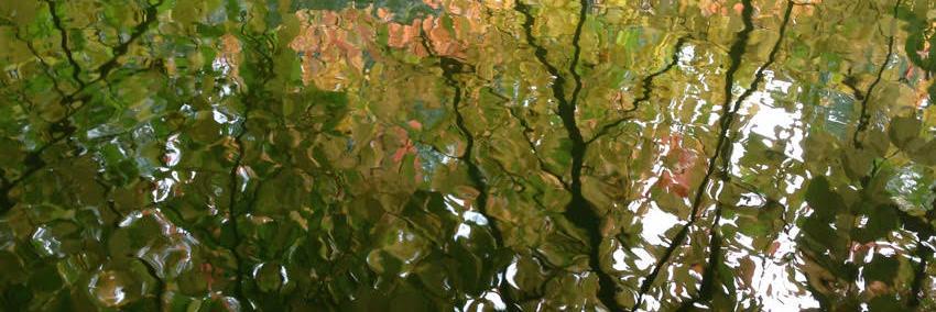 cazmcdonagh's profile banner image