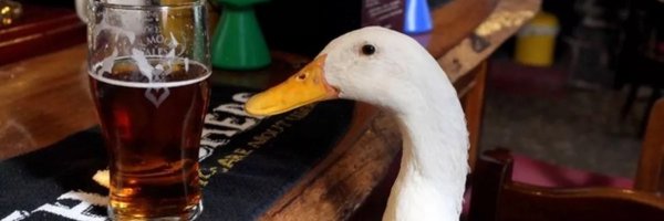 HydratedGoose Profile Banner