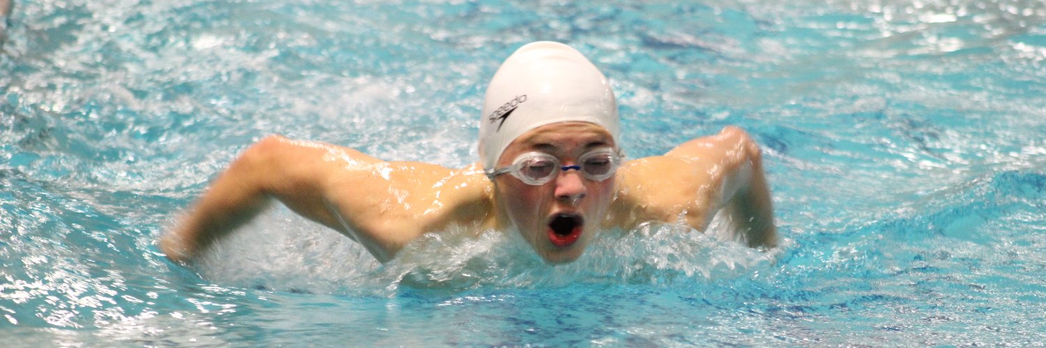 Pontiac Township High School Swimming banner
