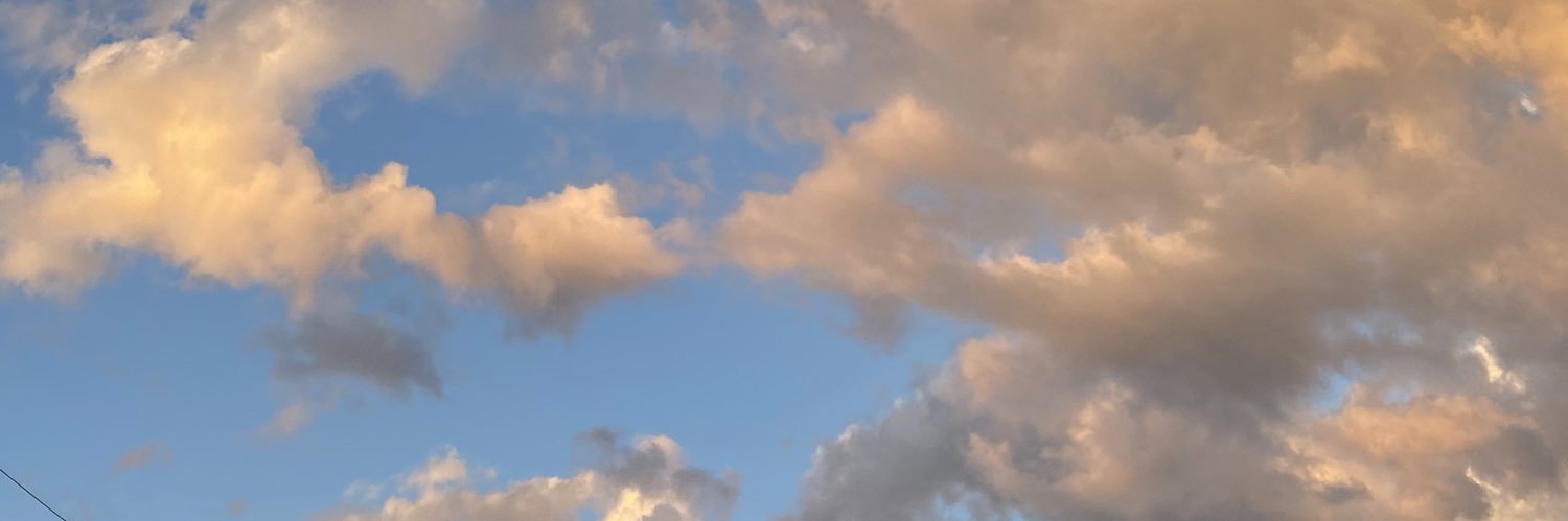 kelseymarison's profile banner image