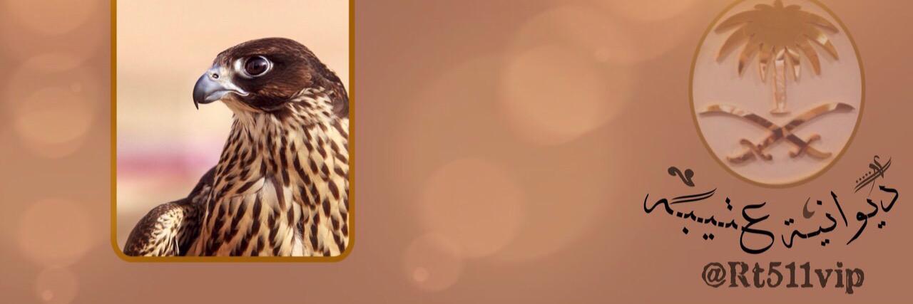 Rt511vip's profile banner image
