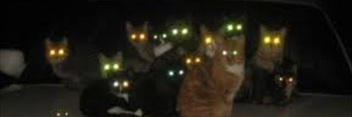 Nick Douglass banner