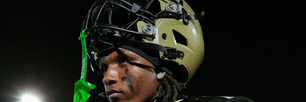Chrisandre96824 Profile Banner