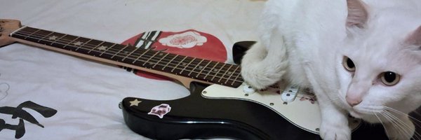 soft_tummy_ Profile Banner
