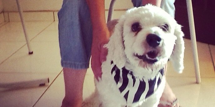 Hugo Medeiros banner