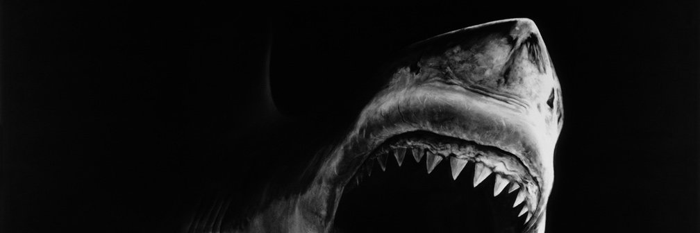 nothardtosay's profile banner image