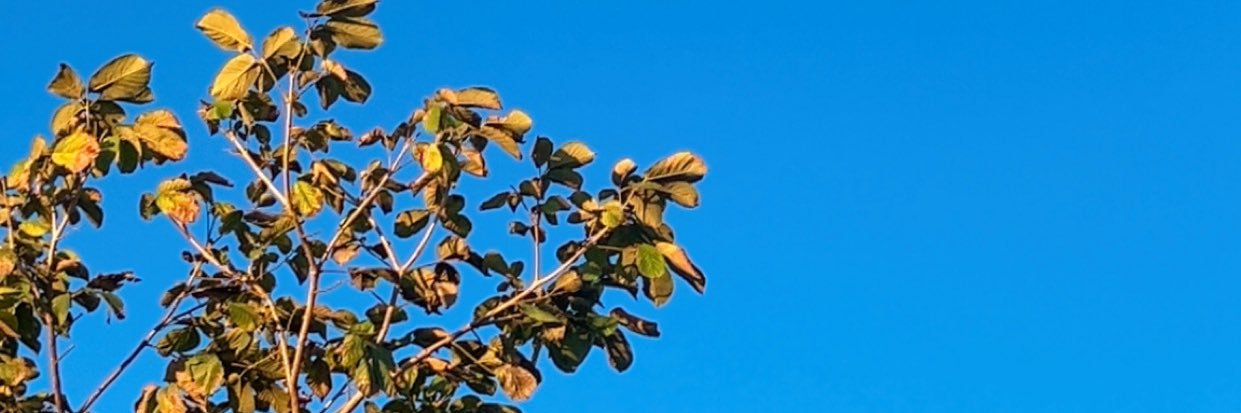 Beaming_guy's profile banner image