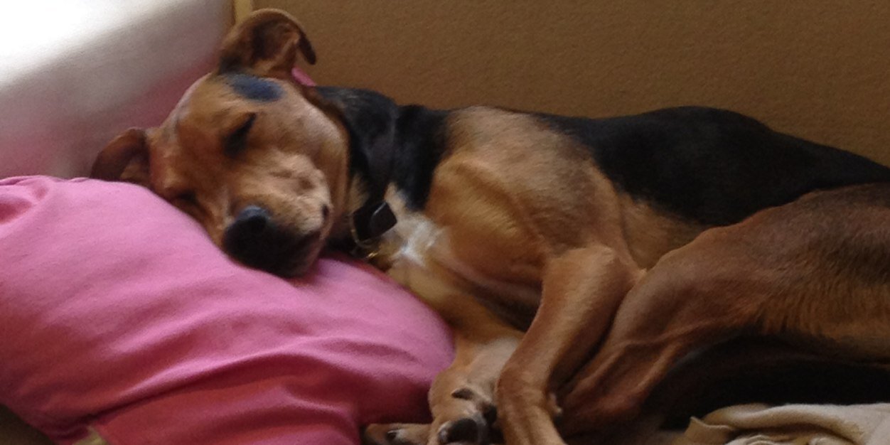 Sarah Wallace banner