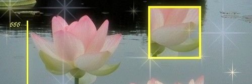 수련 banner