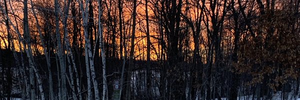 puffpieceMN Profile Banner