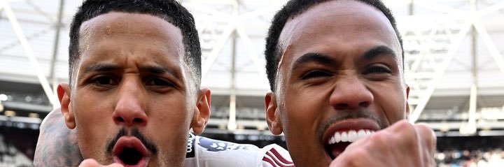 Bee🌸 banner