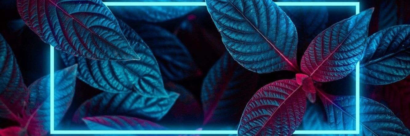 _saharnayaaa's profile banner image