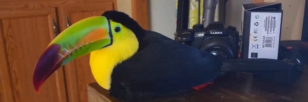vaen_sr Profile Banner