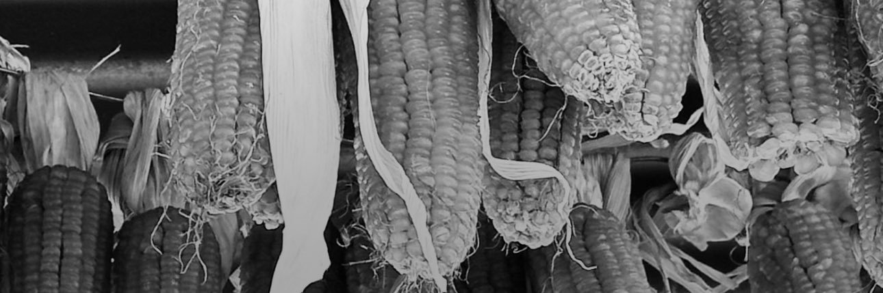 Rraagwe Sejammitwa banner