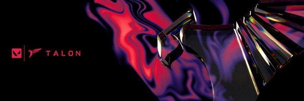 TALON_VALORANT Profile Banner
