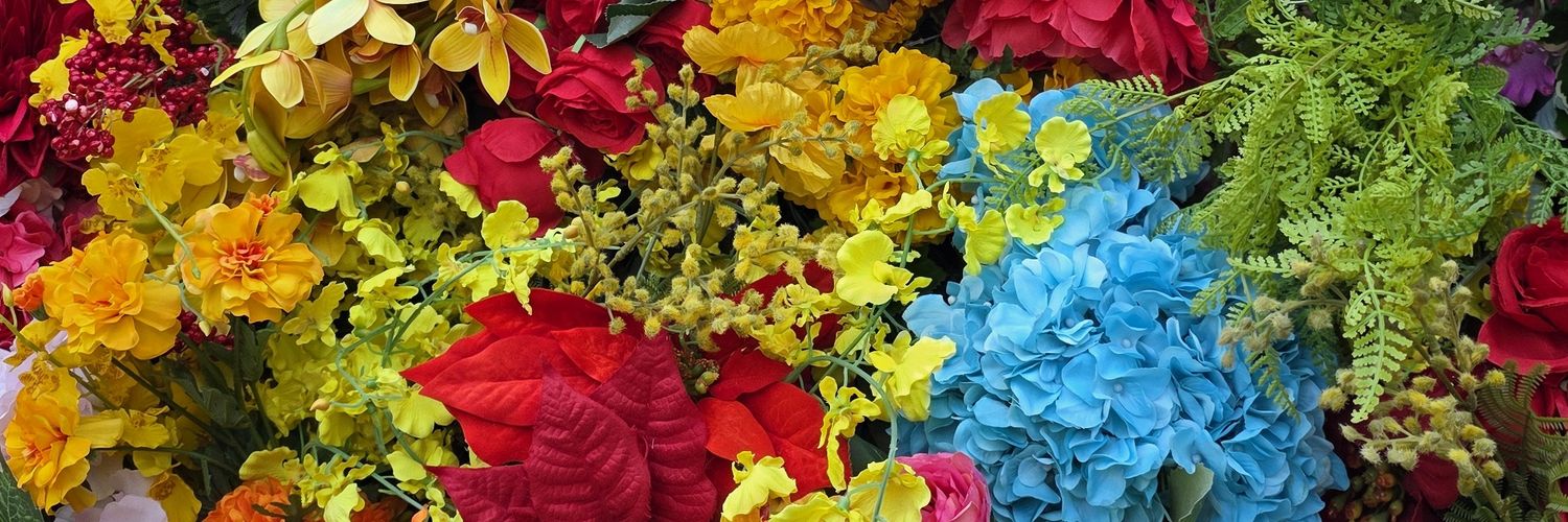 かぐや🎠🪜 banner